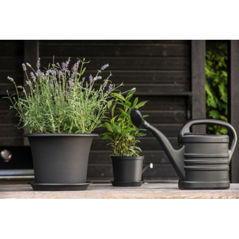 orthex Arrosoir Splash, 5,0 litres, noir