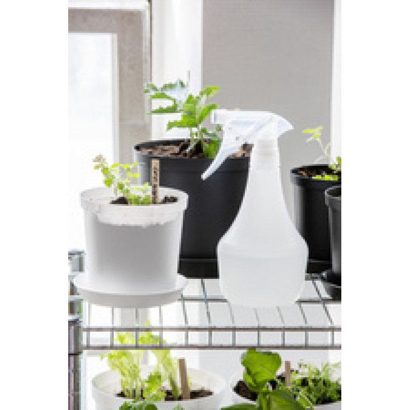 orthex Vaporisateur 0,5 litre, rose