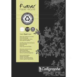 Clairefontaine 17255C bloc-notes 100 feuilles