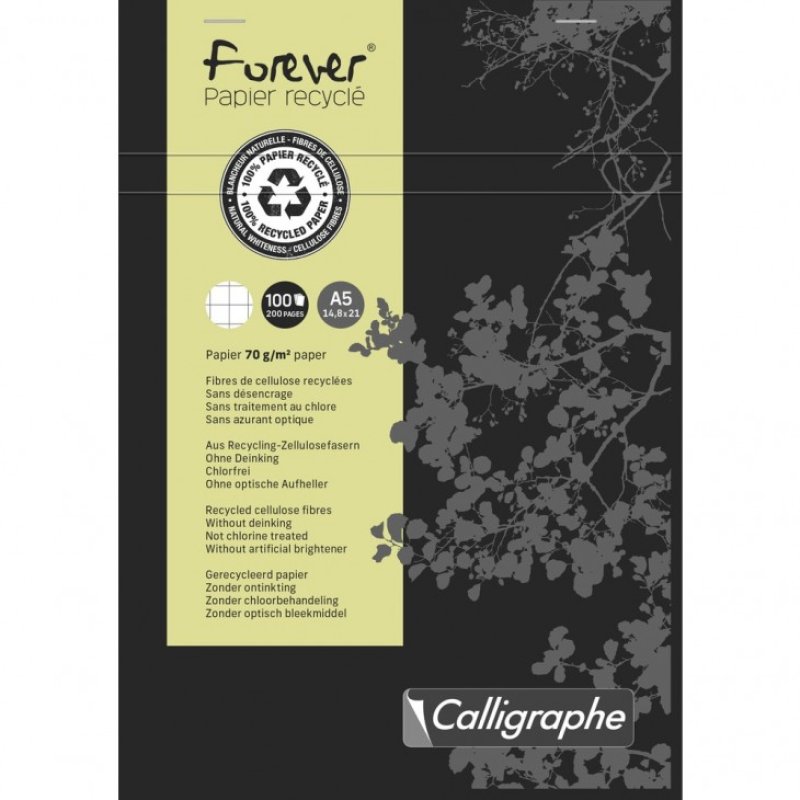 Clairefontaine 17255C bloc-notes 100 feuilles