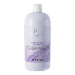 INEBRYA Greylosophy Grey By Day Shampoo Reflexion