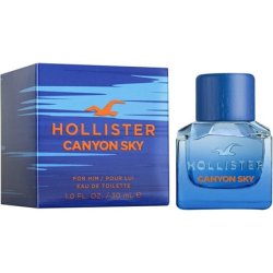 Hollister Men's Toiletry Water Ideal for Men