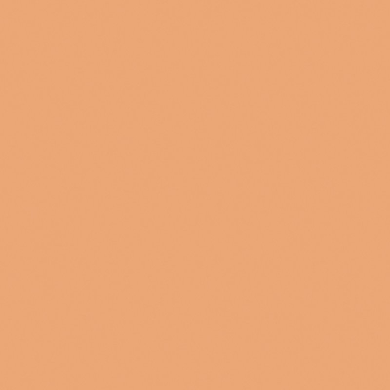 Naj-Oleari Ultimate Cover Concealer correcteur de teint 3 g 03 Hazelnut