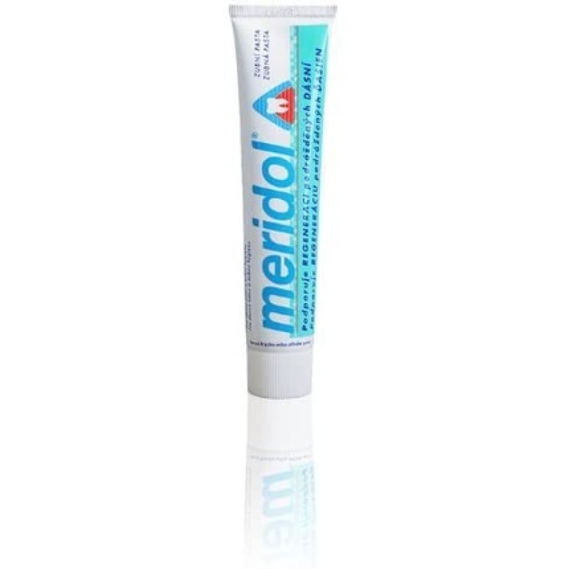 Meridol Gum Protection Toothpaste 75ml