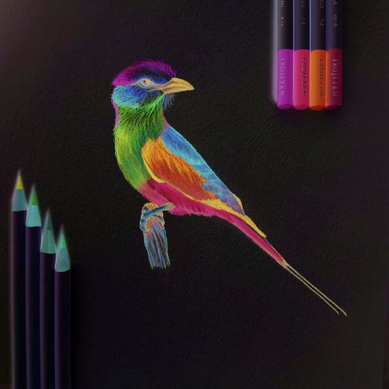 Tombow CI-RF-10C crayon de couleur 10 pièce(s)