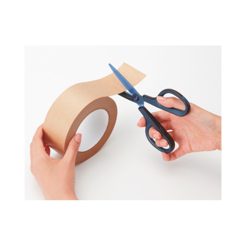 PLUS JAPAN Ciseaux universels FITCUT CURVE Titanium, bleu