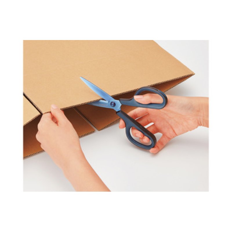 PLUS JAPAN Ciseaux universels FITCUT CURVE Titanium, bleu