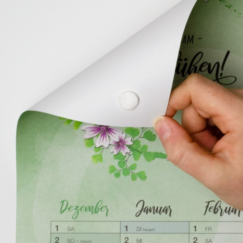 Kores 31600 adhésif de bureau Gomme adhésive