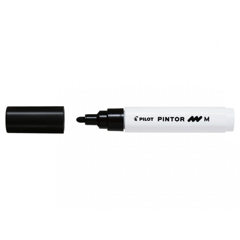 Pilot Pintor Noir