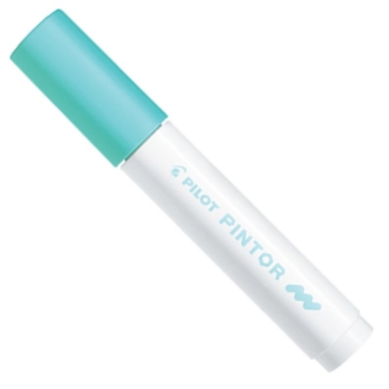 Pilot Pintor marker 1 pc(s) Bullet tip Green, Pastel, White