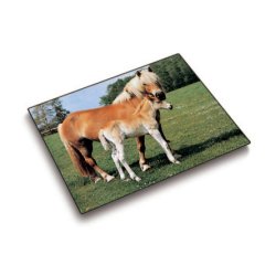 Läufer Sous-main cheval et poulain, 400 x 530 mm