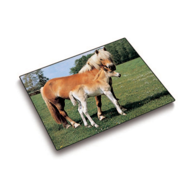 Laufer 46587 desk pad Multicolour