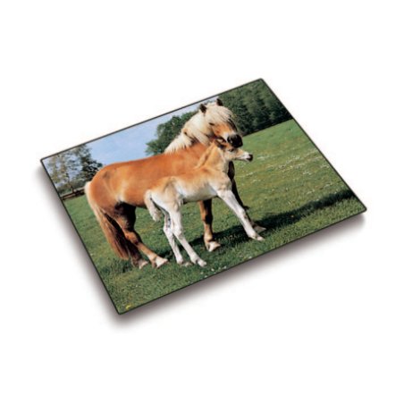 Laufer 46587 desk pad Multicolour