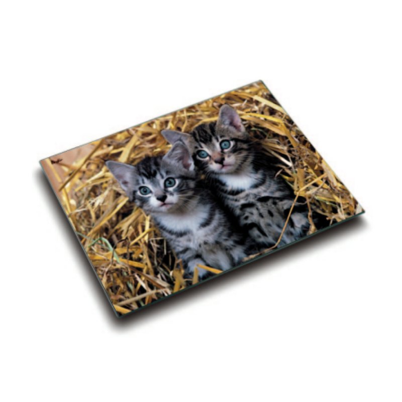 Laufer 46637 desk pad Multicolour