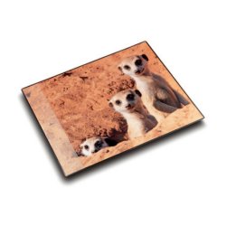 Läufer Sous-main "suricate", 400 x 530 mm