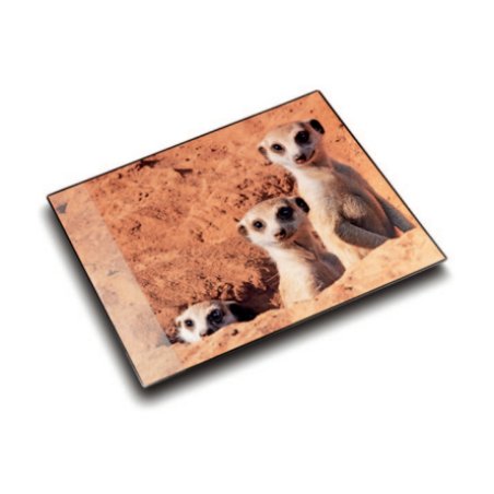 Läufer Sous-main "suricate", 400 x 530 mm