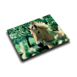 Laufer 46640 desk pad Multicolour