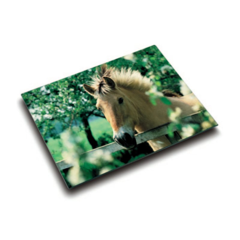 Läufer Sous-main cheval à la clôture, 400 x 530 mm