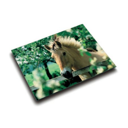 Läufer Sous-main cheval à la clôture, 400 x 530 mm