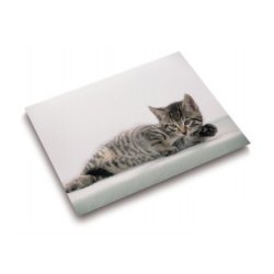 Laufer 46592 desk pad Multicolour