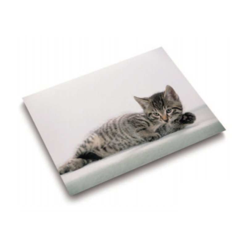 Laufer 46592 desk pad Multicolour