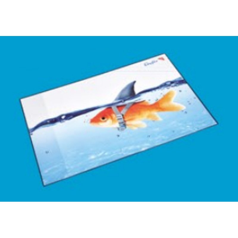 Laufer 46649 sous-mains Multicolore