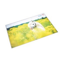 Laufer 46651 desk pad Multicolour