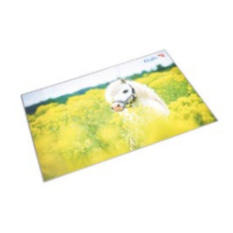 Laufer 46651 desk pad Multicolour