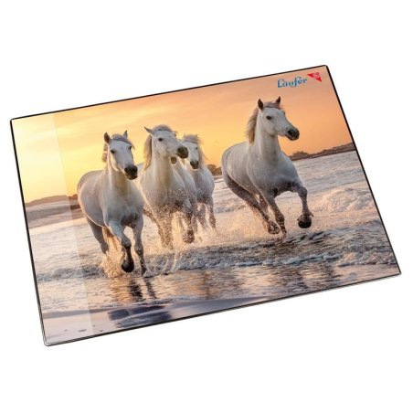 Laufer 46656 desk pad Plastic Multicolour