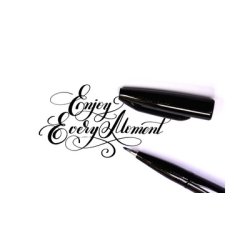 PentelArts Stylo de calligraphie Sign Pen Brush, noir