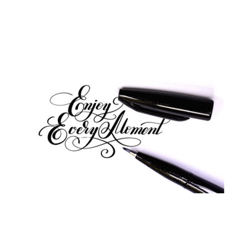 PentelArts Stylo de calligraphie Sign Pen Brush, noir