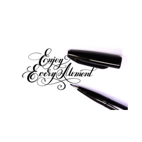 PentelArts Stylo de calligraphie Sign Pen Brush, noir