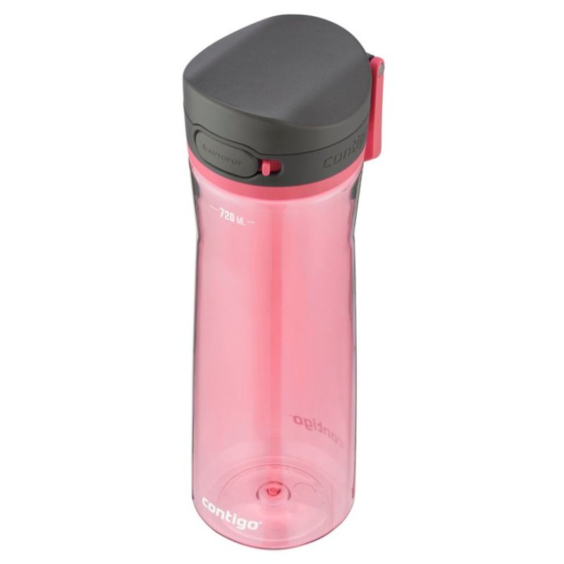 Contigo Gourde Jackson 2.0, 720 ml, Frosted Rose