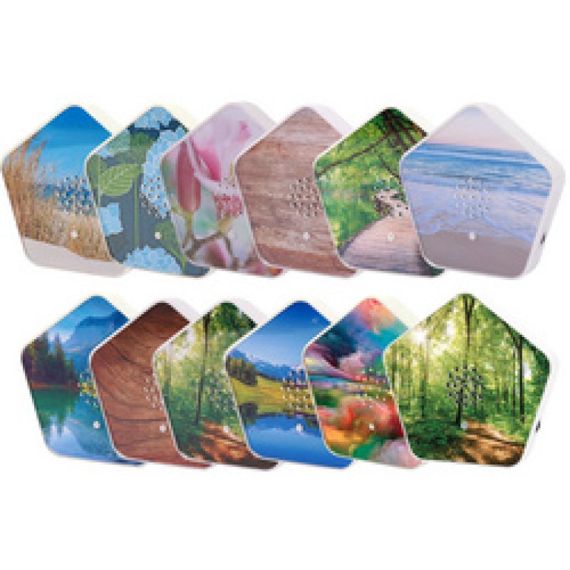 OLYMP Boîte à gazouillis, 4 sons de nature, blanc