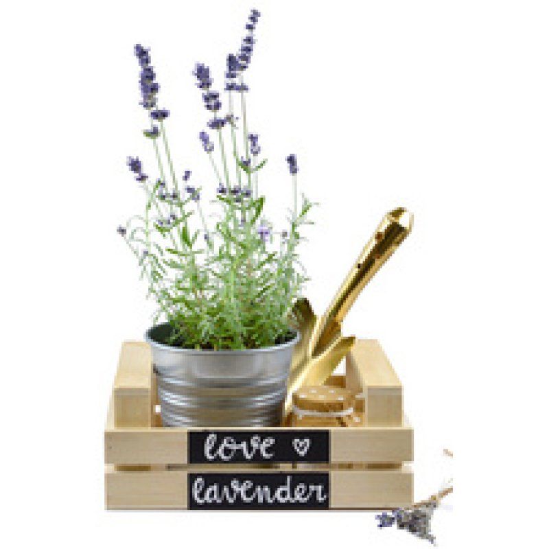 Pentel Marqueur décoratif "Wet Erase" SMW56,pointe biseautée