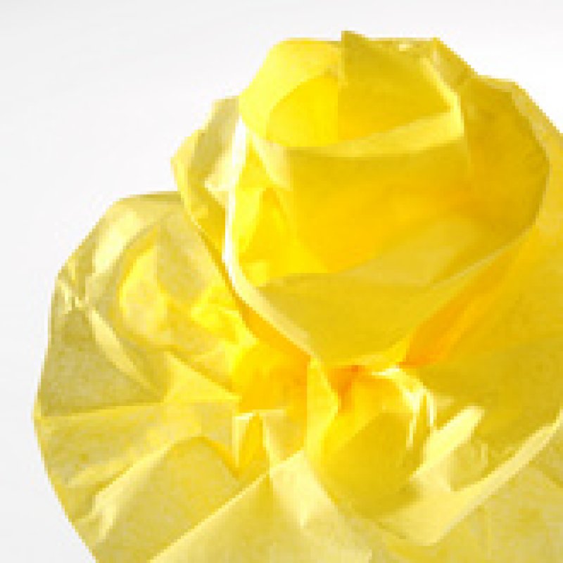 CANSON Papier de soie, 0,5 x 5,0 m, 20 g/m2, bleu turquoise