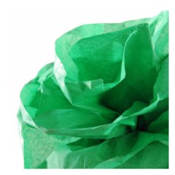 CANSON Papier de soie, 0,5 x 5,0 m, 20 g/m2, vert franc