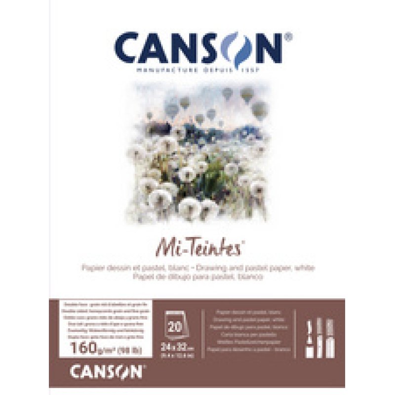 CANSON Papier beaux-arts Mi-Teintes, en bloc, 240 x 320 mm