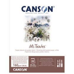 CANSON Papier beaux-arts Mi-Teintes, en bloc, 240 x 320 mm