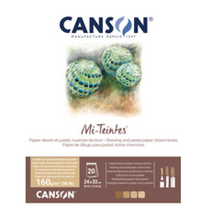 CANSON Papier beaux-arts Mi-Teintes, en album, 240 x 320 mm