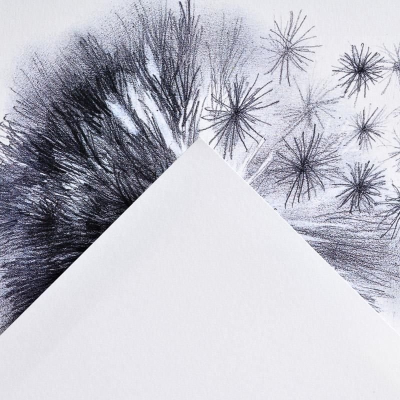 Canson Graduate papier d'art 40 feuilles