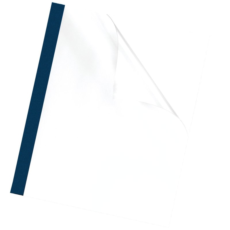 Fellowes 53176 matériel de reliure A4 Plastique, PVC Bleu 100 pièce(s)