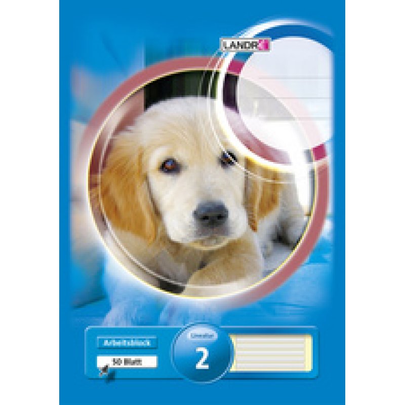 LANDRÉ Bloc scolaire "pro terra", format A4, linéature 2