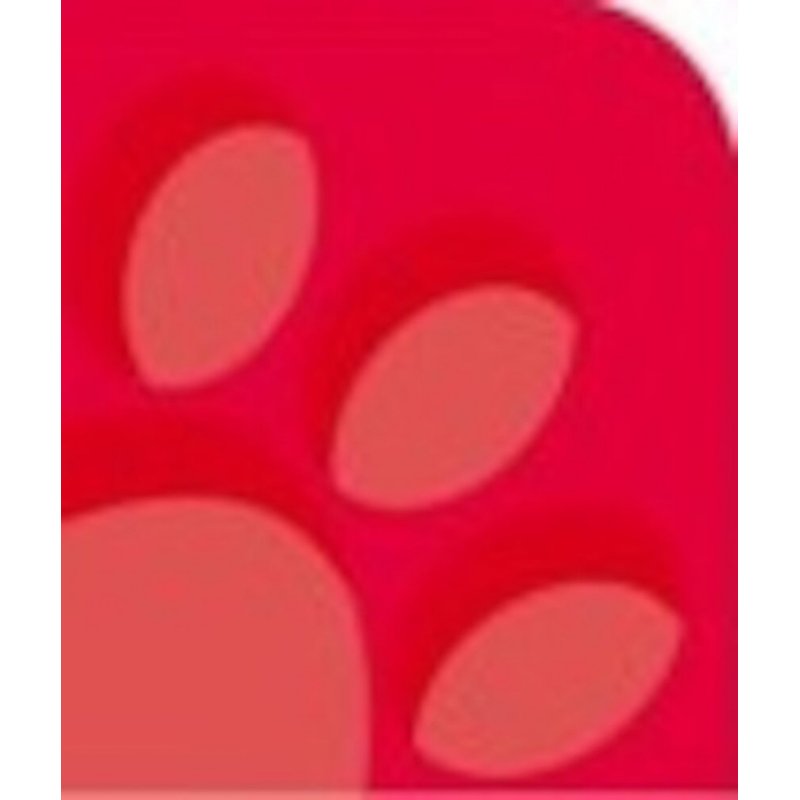 Oxford 100050402 writing notebook A4 Red