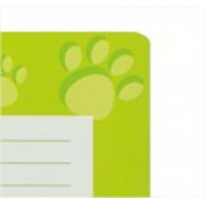 Oxford 100050400 writing notebook A4 Green