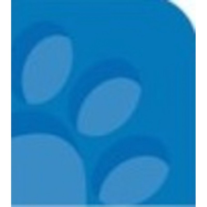 Oxford 100050407 bloc-notes A5 Bleu