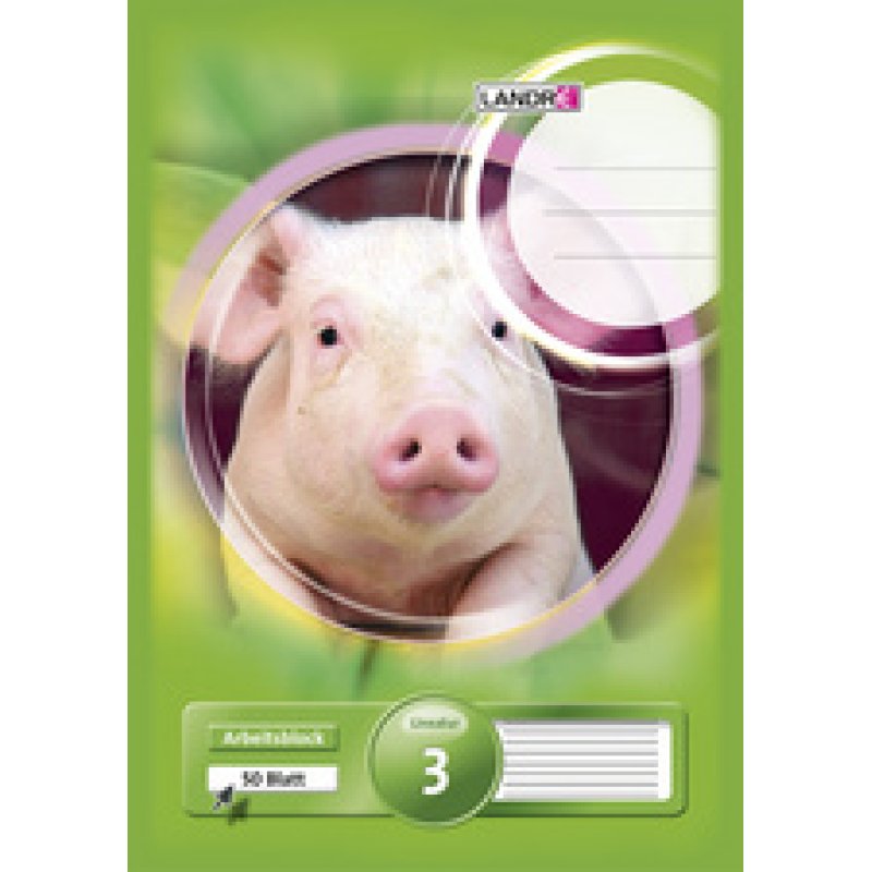 LANDRÉ Bloc scolaire "pro terra", format A4, linéature 3