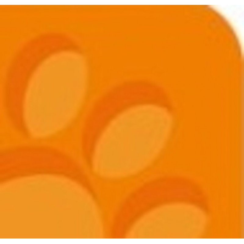 Oxford 100050409 writing notebook A5 Orange