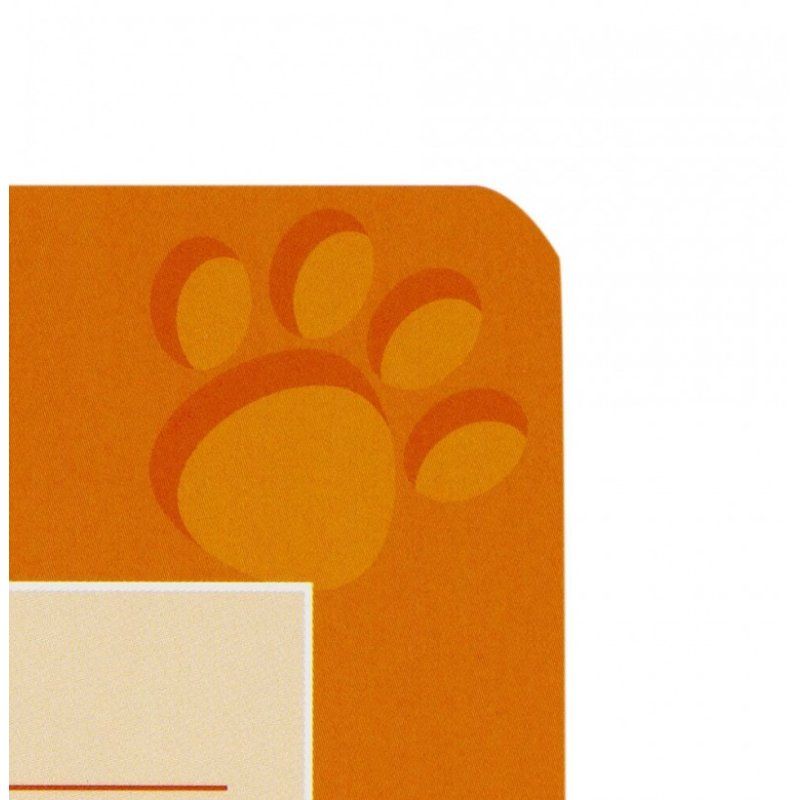 Oxford 100050380 bloc-notes A5 Orange