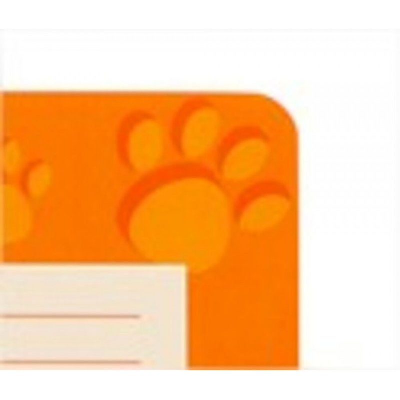 Oxford 100050403 writing notebook A4 Orange